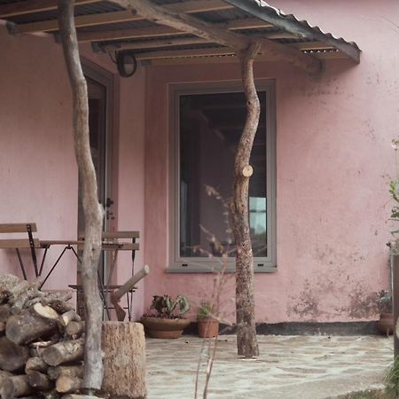 Cabana Do Dinamarques Em Arga De Baixo Exterior photo